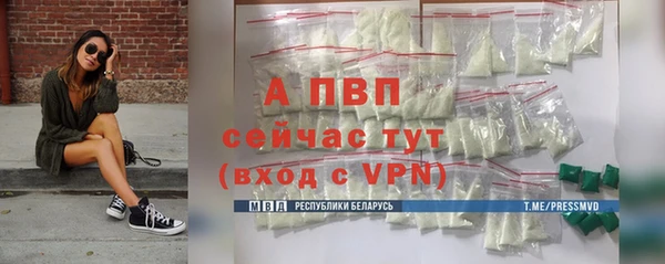 ешки Арсеньев