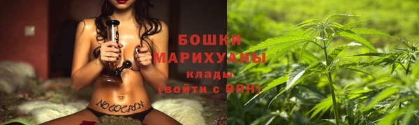 ешки Арсеньев