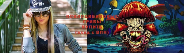 трава Гусиноозёрск