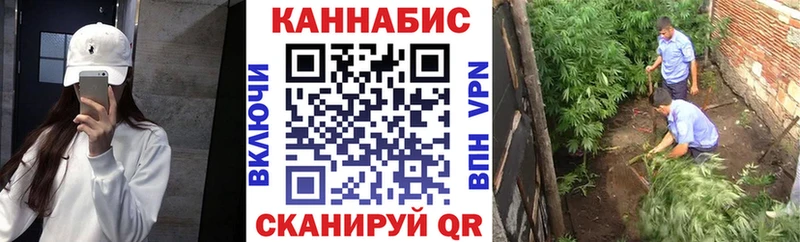 Бошки Шишки тримм  мега как войти  Льгов 